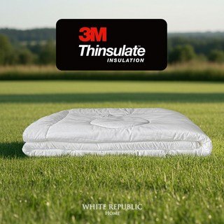 3M Thinsulate Duvet 3M 신슐레이트 이불솜 S SS Q K (여름솜/사계절솜/겨울솜/한겨울솜), summer SS (160x210)